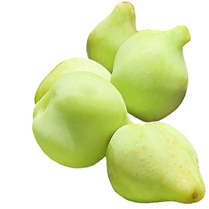 Kakadu plum Herbasol® Extract Glycerine unpreserved
